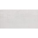 12x24 Forge Silver Matte