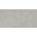 12x24 Fundamental Ash Matte