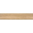 9x48 Lucent Roble SafeStep Matte