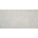 24x48 Lustra Grey Polished
