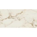24x48 Majesta Calacatta Oro Matte