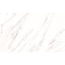 24x48 Pietrina Argento Shiny