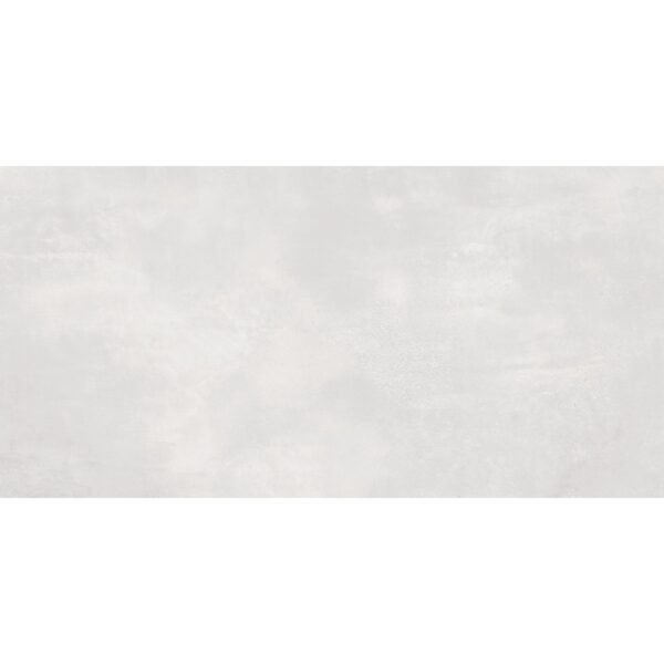 12x24 Serenity Ash Polished