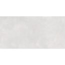 24x48 Serenity Ash Polished