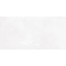 12x24 Serenity Opal Polished