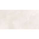 12x24 Celestra Lunar Matte