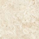 24x24 Nautica Seashell Matte