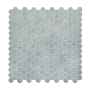 JAVA 1×1 Penny - Frost