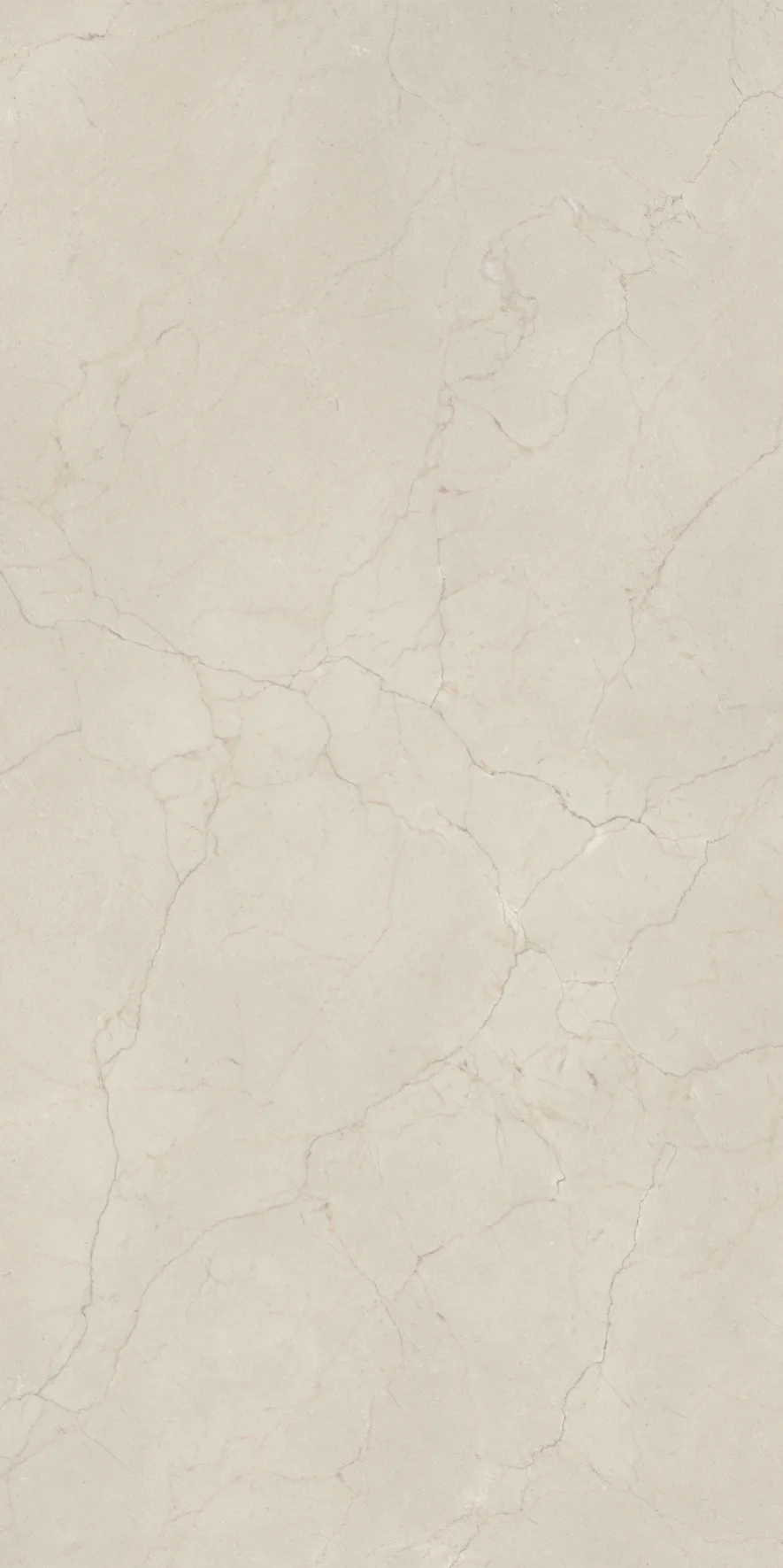 24x48 Marmo Dorato Satin