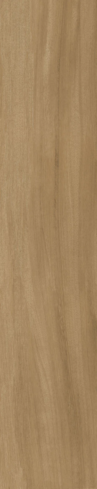 8×40 Cypressa Cinnamon Matte
